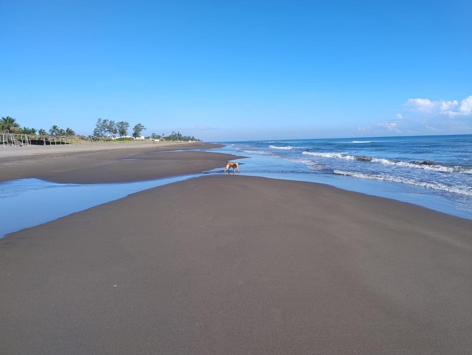 Playa Encantada 卡西塔斯 外观 照片
